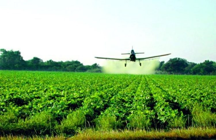 How To Use Fertilizers, Pesticides, and Herbicides Effectively